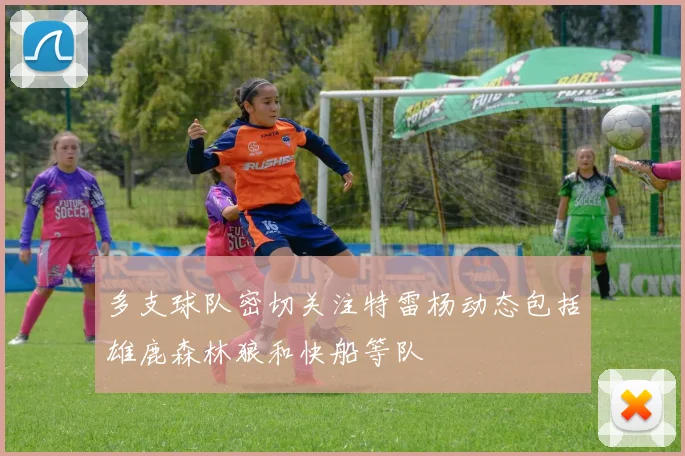 多支球队密切关注特雷杨动态包括雄鹿森林狼和快船等队